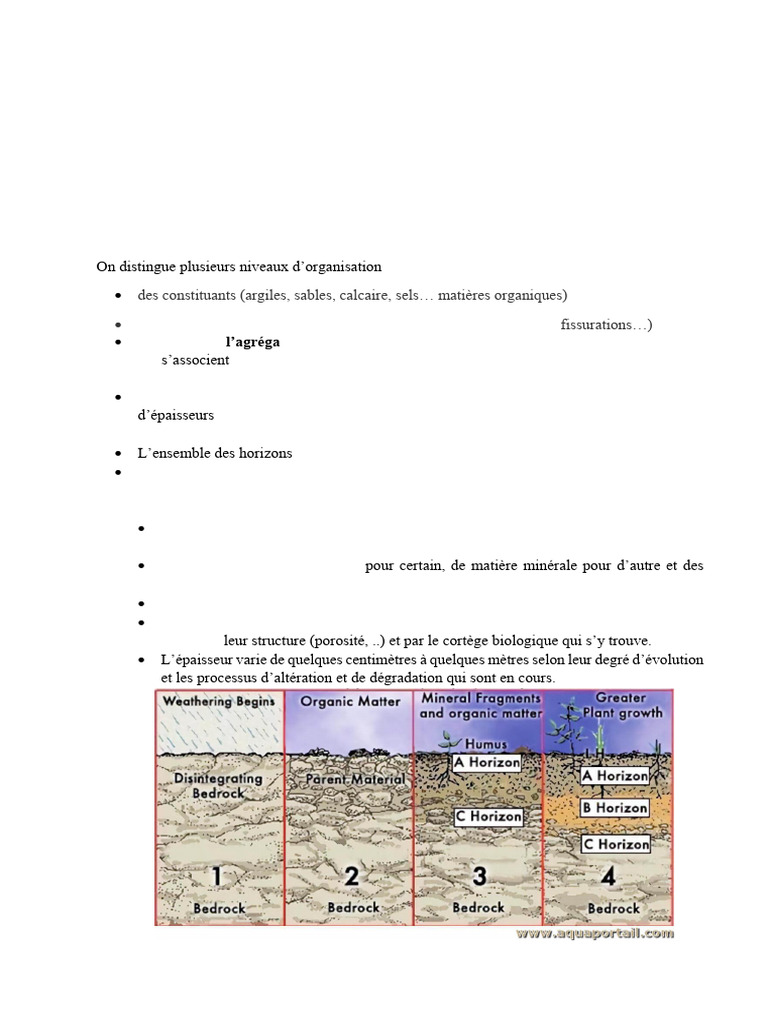 Chapitre 5 - Sols Forestiers - 2024 | PDF | Sol (pédologie) | Porosité