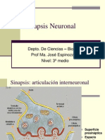 Unidad 1 - Sinapsis Neuronal-3º - 2012