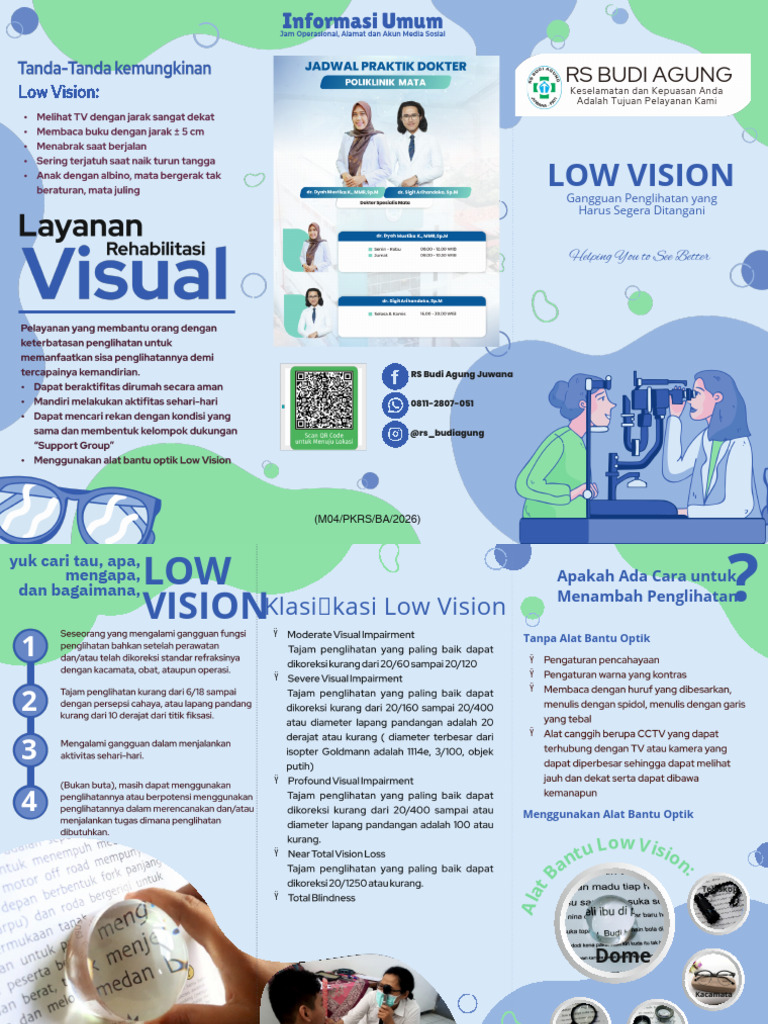 Low Vision - RSBA PDF | PDF