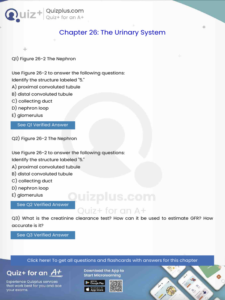 Identify The Structure Labeled 5 | PDF