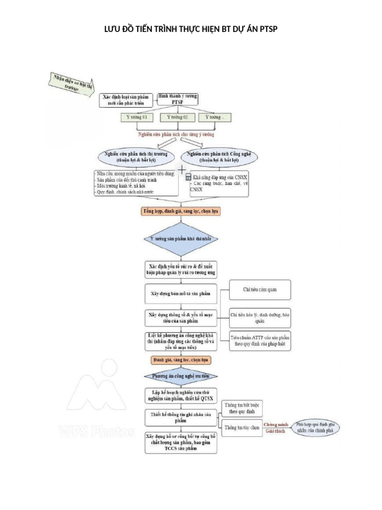 Luudo - BT Du An PTSP | PDF