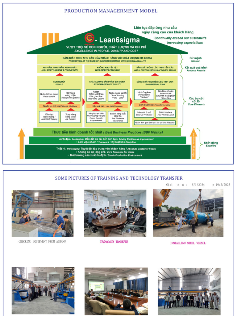 Lean and 6 Sigma | PDF