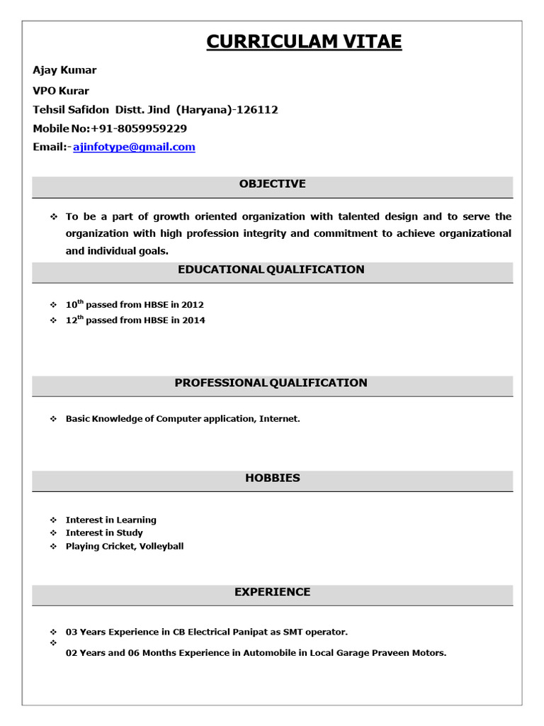 Ajay CV | PDF