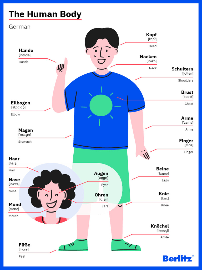 Berlitz Blog Downloadables German Human Body Poster | PDF