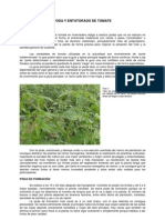 1_poda_y_entutorado_del_tomate.pdf