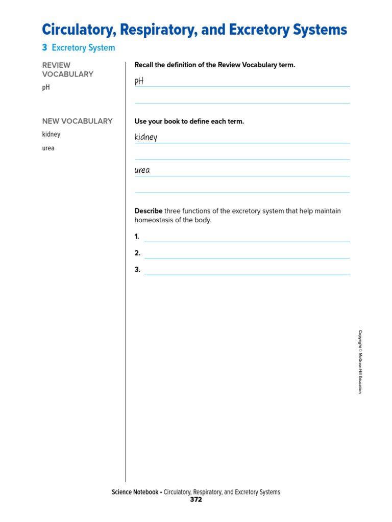 Science+Notebook +the+Excretory+System | PDF | Kidney | Urinary System