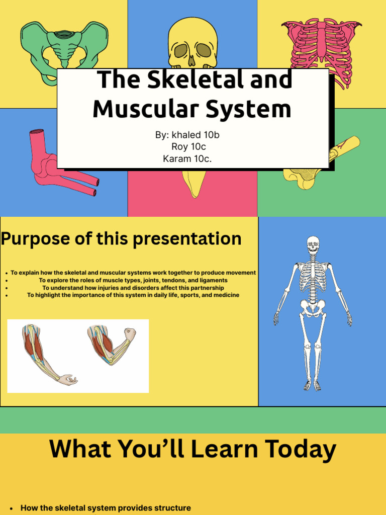 The Skeletal System Education Presentation in Green Yellow Simple ...