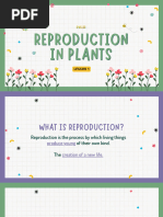Seed Formation and Dispersal Methods | PDF | Fertilisation | Flowers
