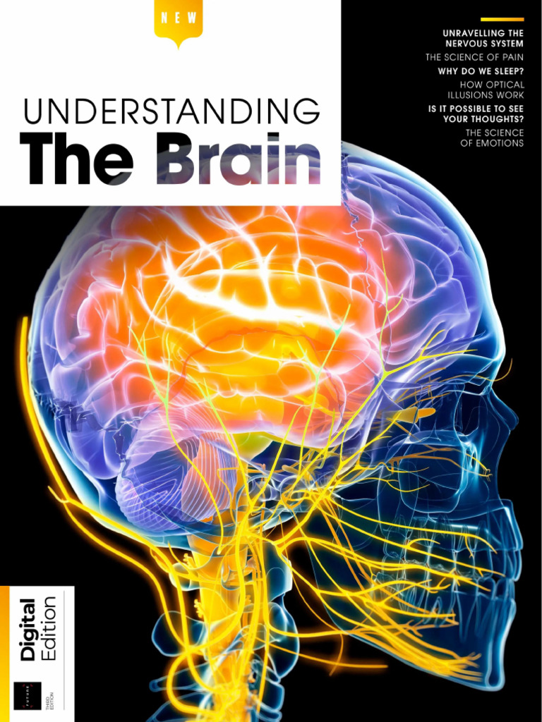 Understanding The Brain - 3rd Edition 2025 Ebooksyard | PDF