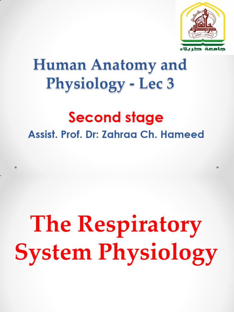 Lec 3 - Human Anatomy and Physiology | PDF | Lung | Respiratory Tract