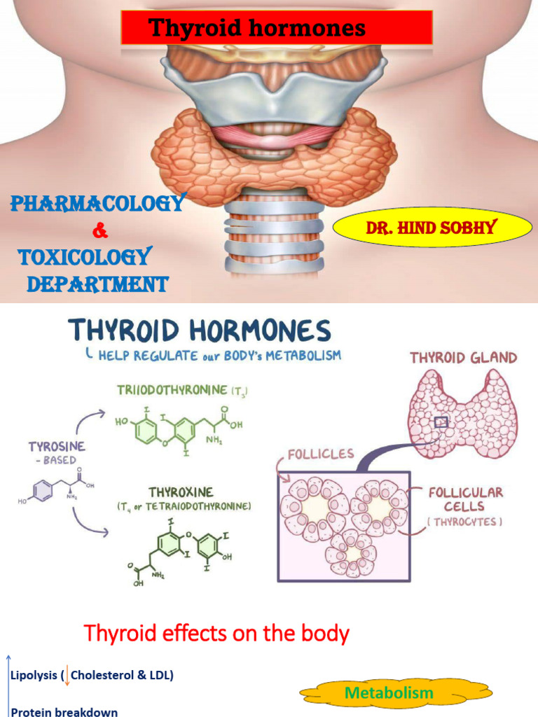 Thyroid Gland Disorders | PDF | Hyperthyroidism | Hypothyroidism