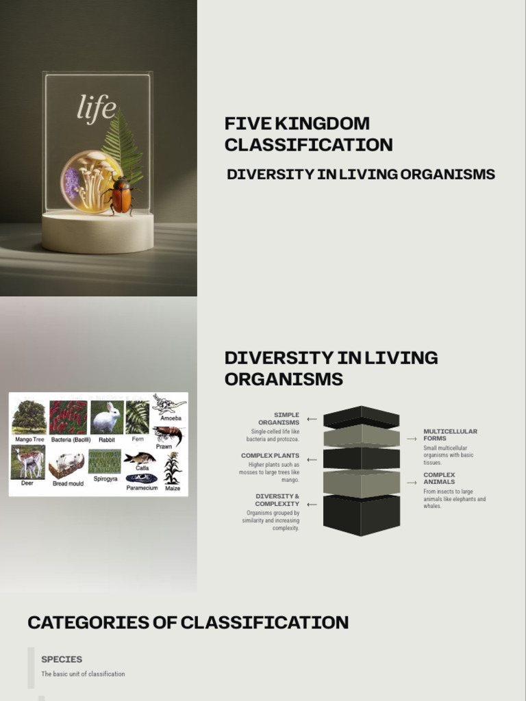 Five Kingdom Classification | PDF