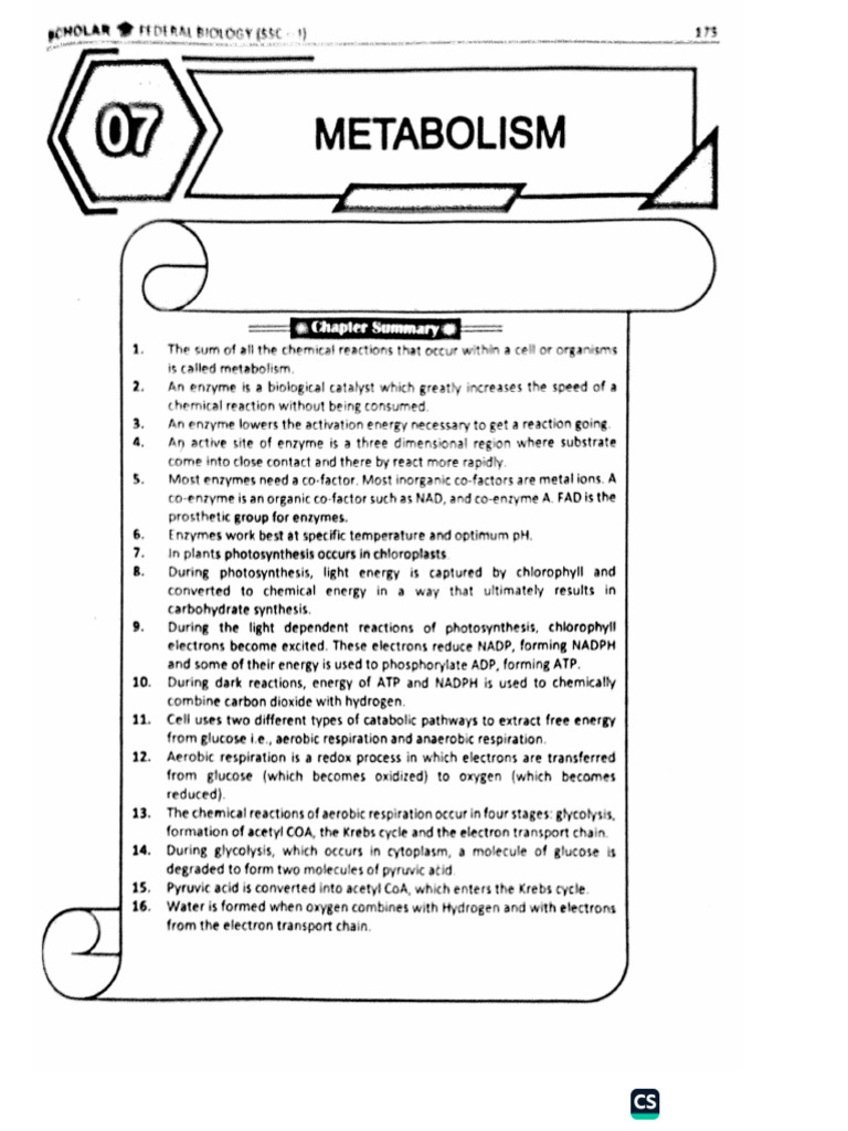 Bio 9 Unit 7 | PDF