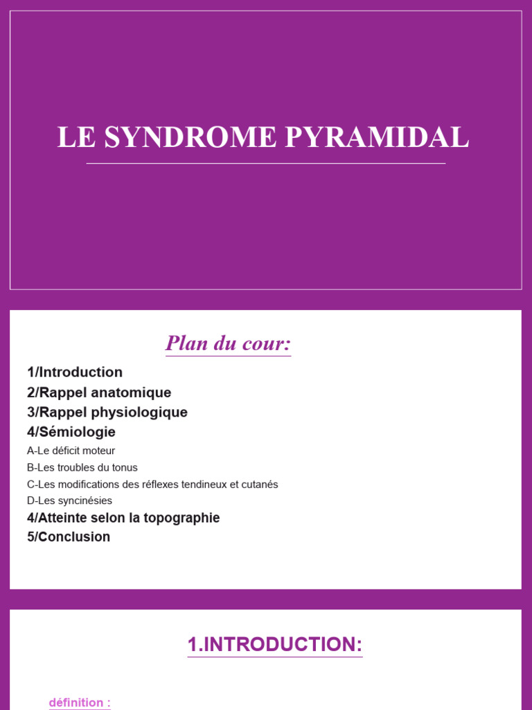 Le Syndrome Pyramidal PDF | PDF