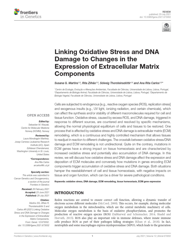 Linking Oxidative Stress and DNA Damage To Changes in The Expression of ...