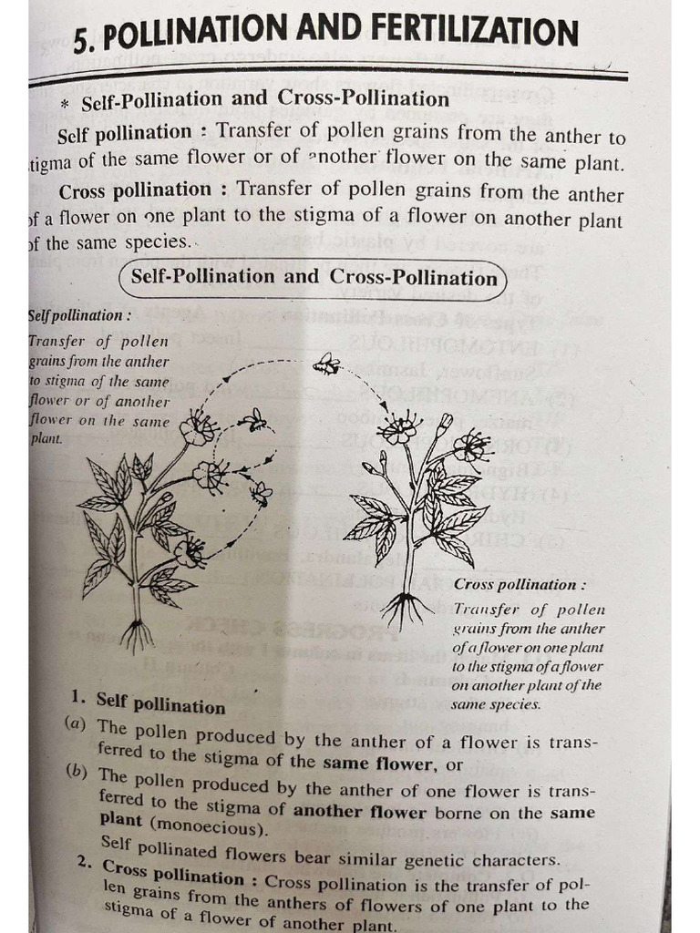 Fertillization and Pollination Set 2 Questions and Answers | PDF