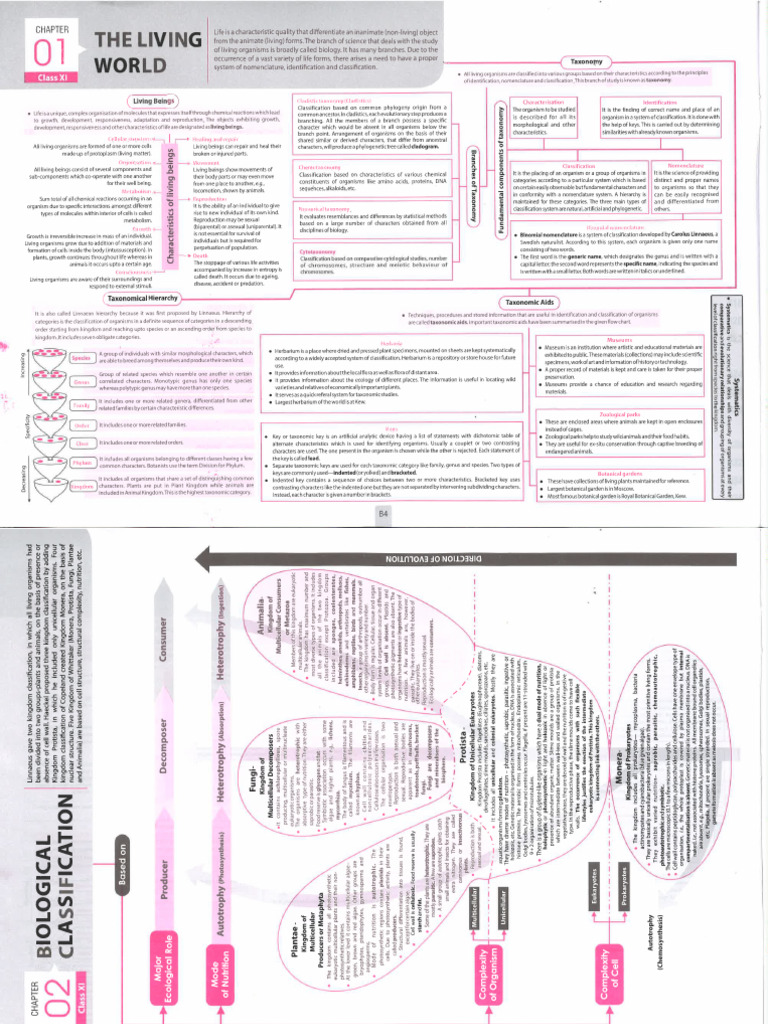 MTG Mind Map | PDF
