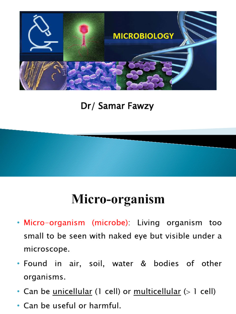 1 - Classification of Micro-Organism | PDF | Bacteria | Cell (Biology)