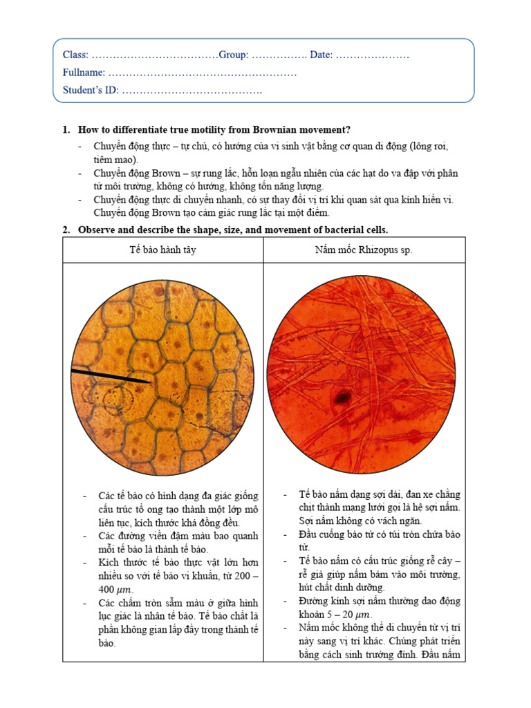 Lab 2 Report | PDF