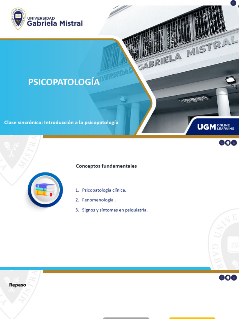 DESCARGABLE Introducción A La Psicopatología SEM 1 | PDF