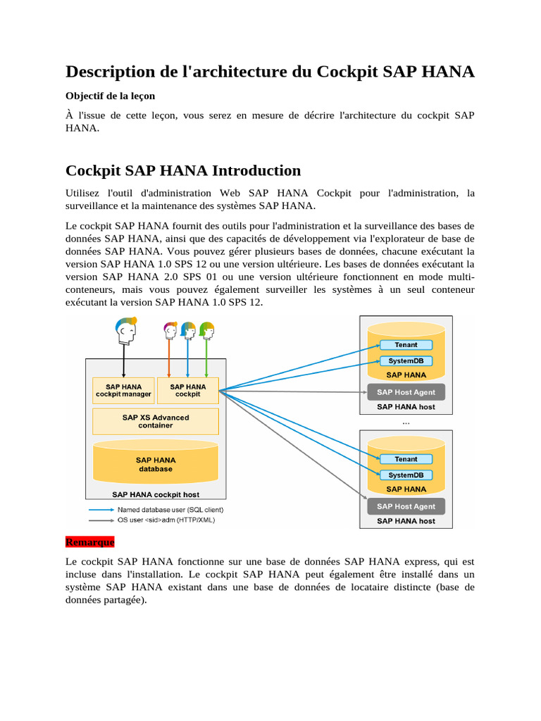Description de L'architecture Du Cockpit SAP HANA | PDF