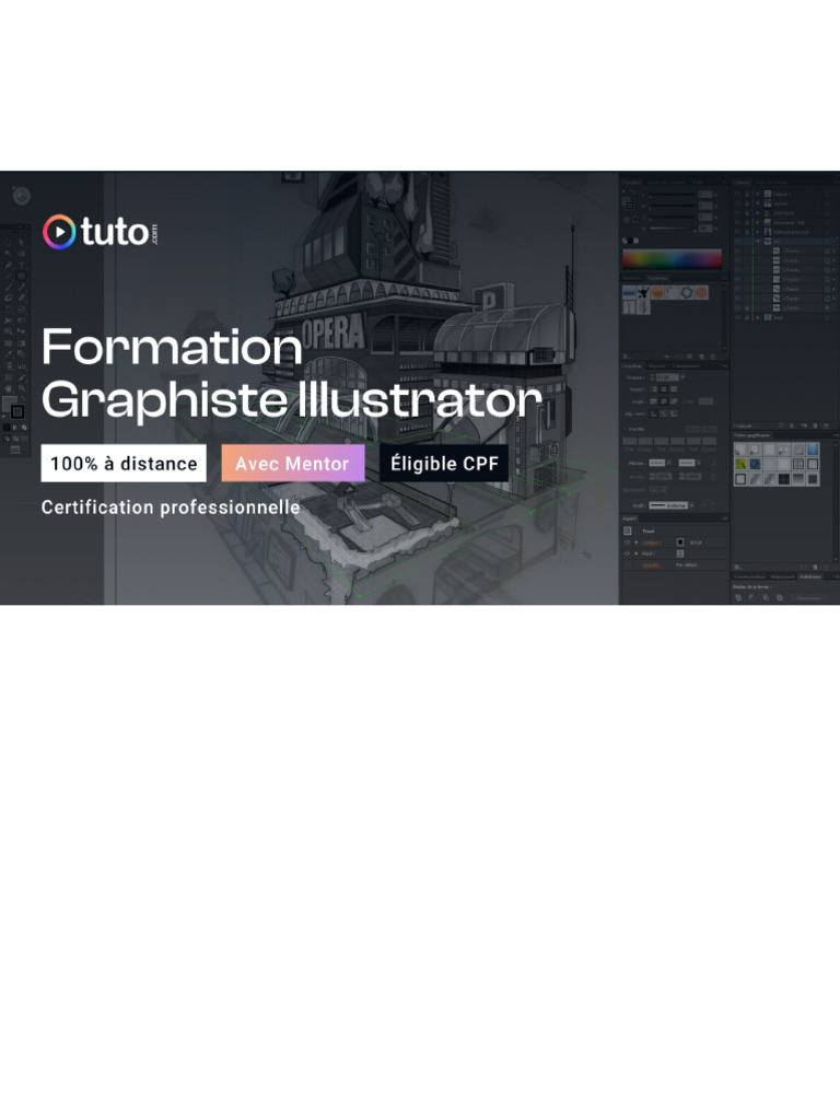 Formation Graphiste Illustrator | PDF