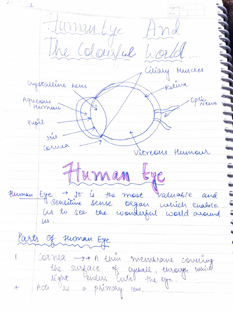Human Eye-1 - 260327 - 234726 | PDF