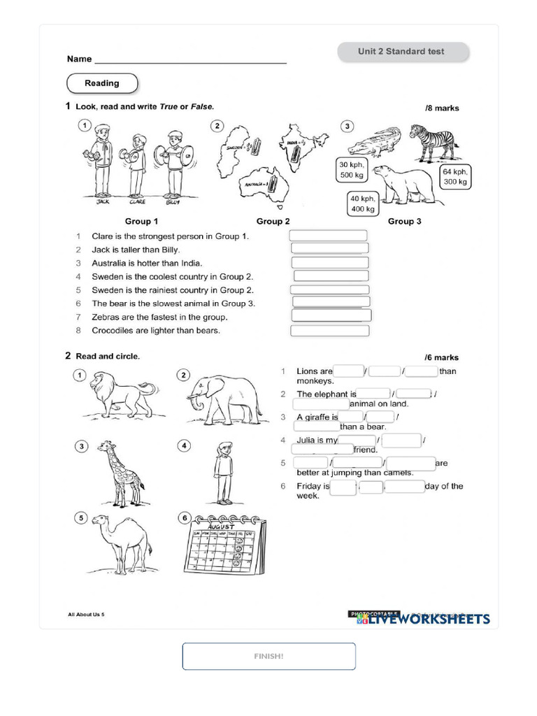Test1 Unit 2 | PDF