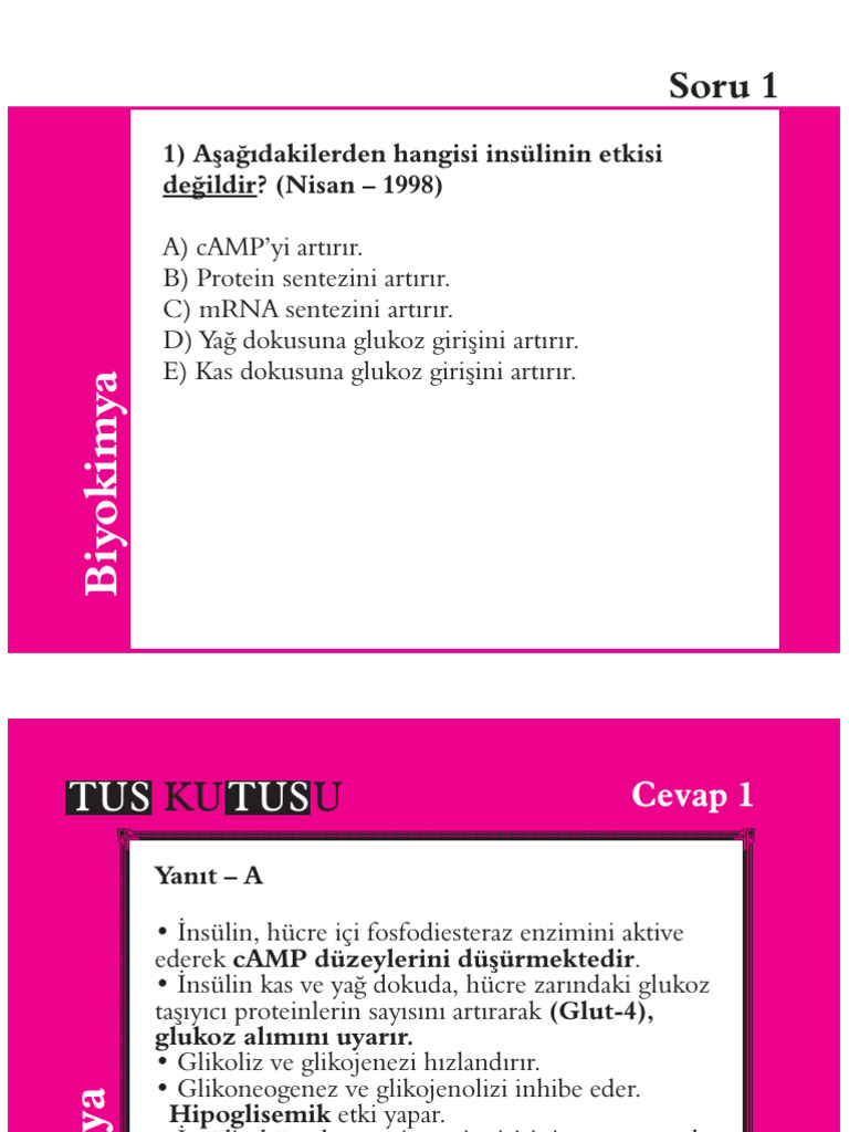 Biyokimya Tus Kutusu | PDF