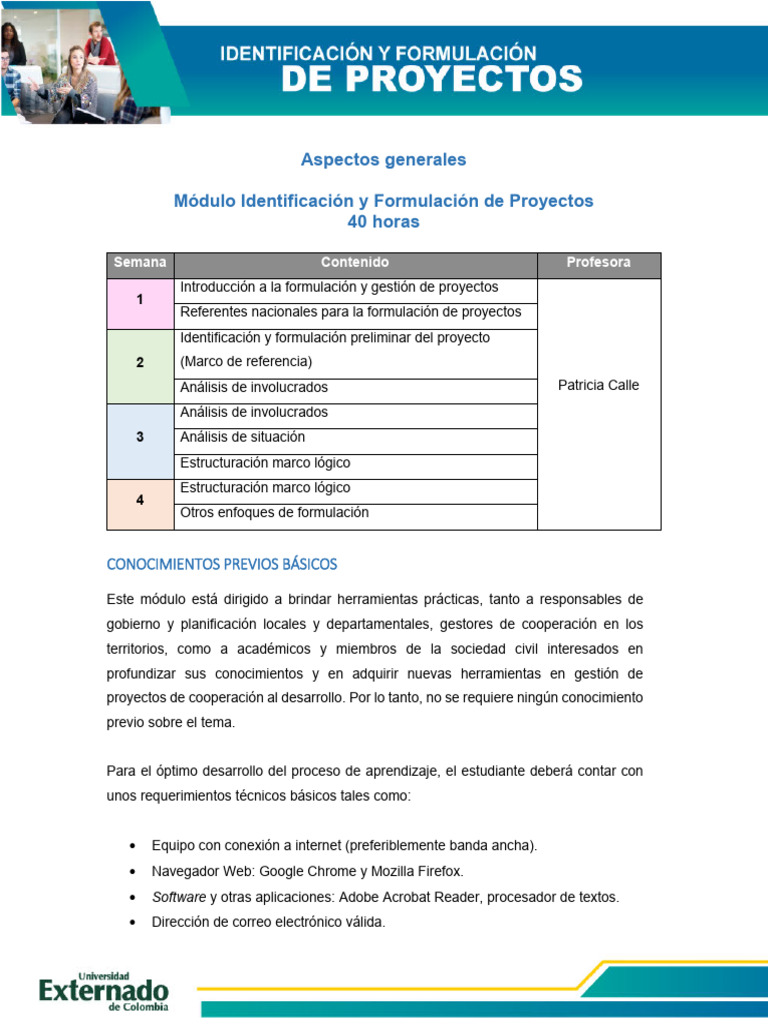 Generalidades | PDF | Profesional en el manejo de proyectos