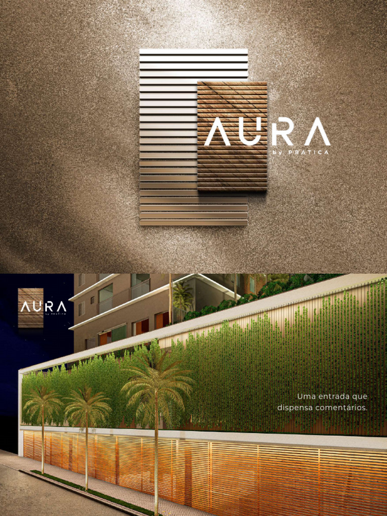 Book Aura | PDF