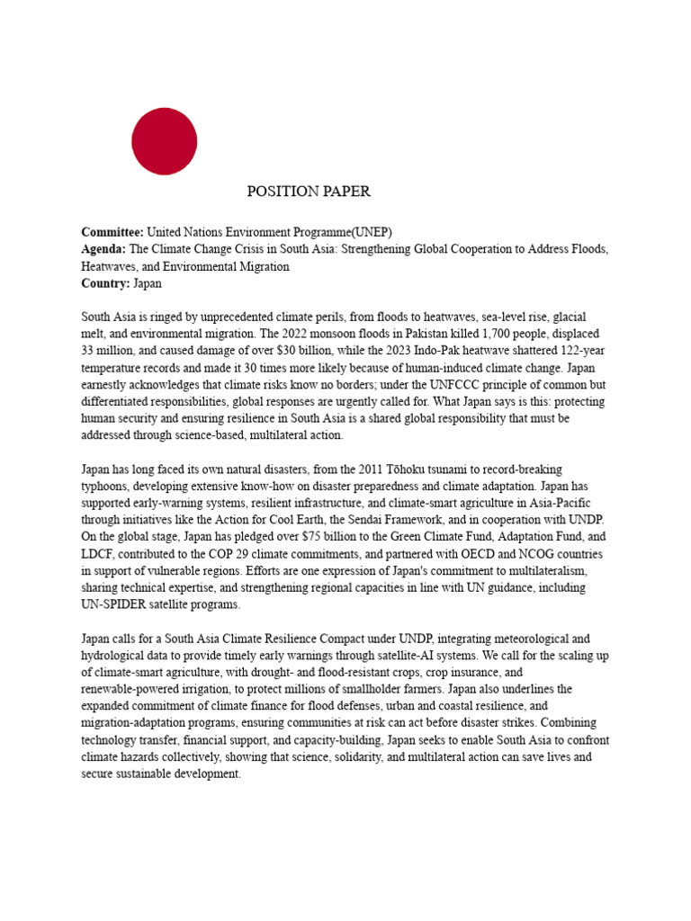 Position Paper Japan UNEP | PDF