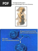 O Processo de Desenvolvimento Do Ser Humano