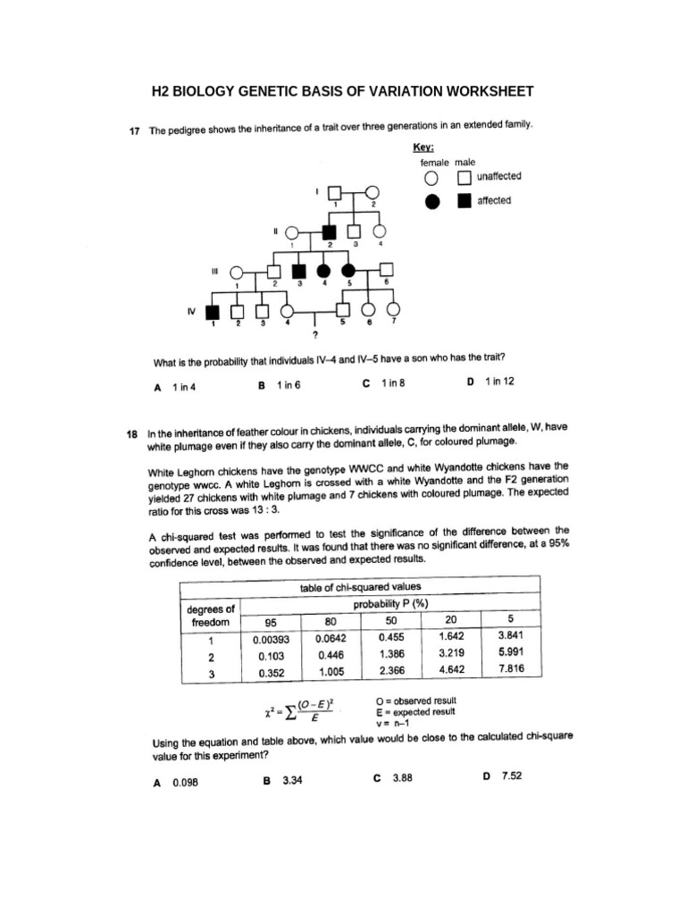 H2 Biology Genetic Basis of Variation | PDF