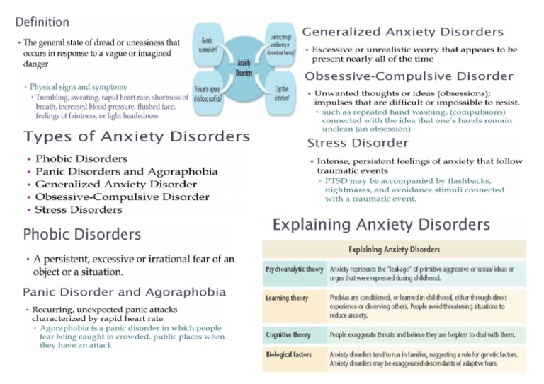 Anxiety Disorder - Mental Health Report | PDF