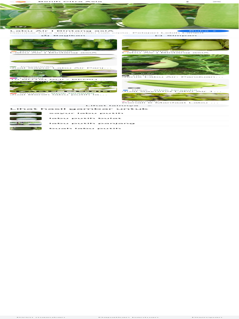Labu Putih - Penelusuran Google | PDF