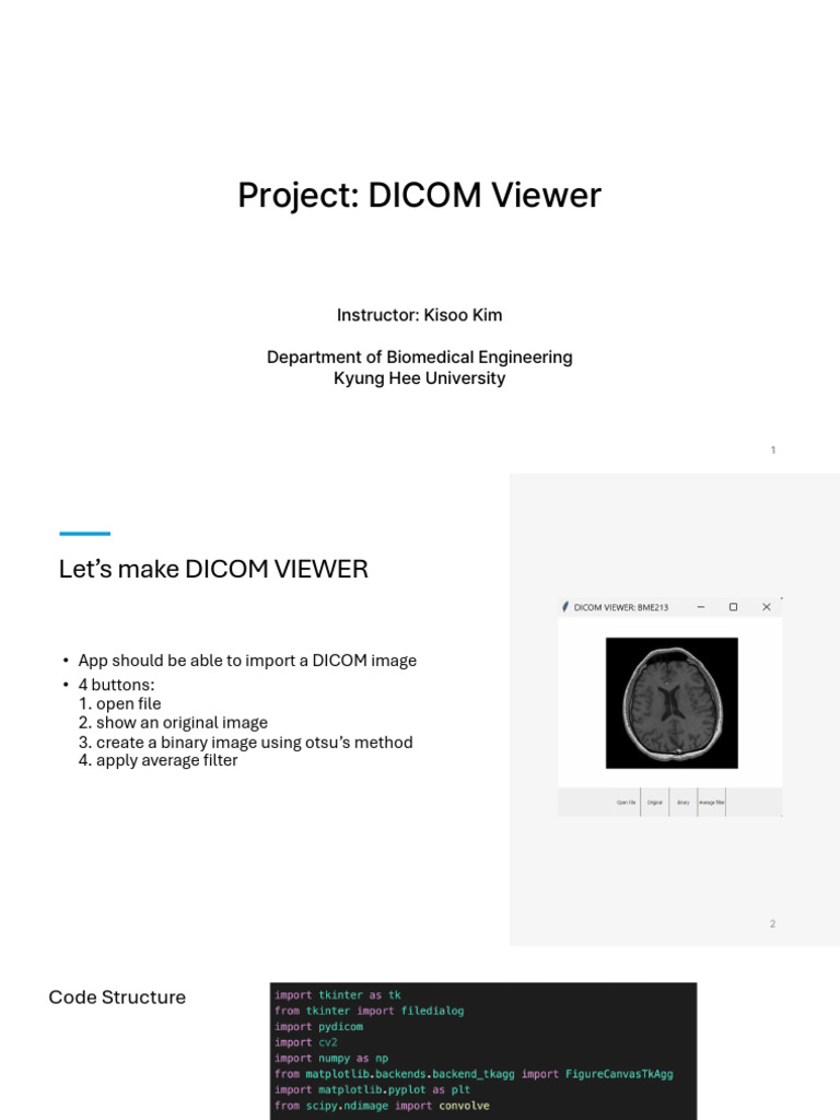 45 Lecture20 - Project (DICOM Viewer) | PDF