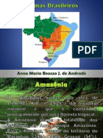 Biomas Brasileiros - Manna