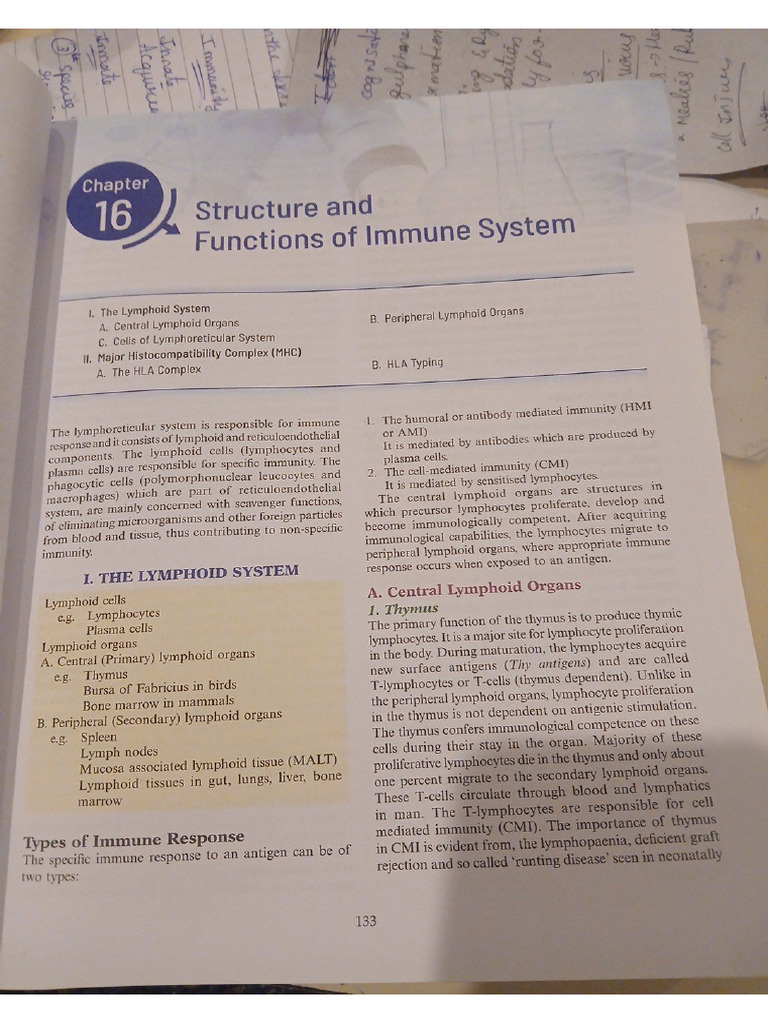 Structure and Functions of Immune System-1 | PDF
