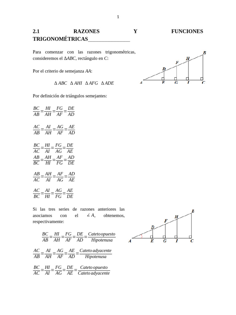 Razones y Funciones Trigonométricas | PDF | Trigonometría | Vector ...