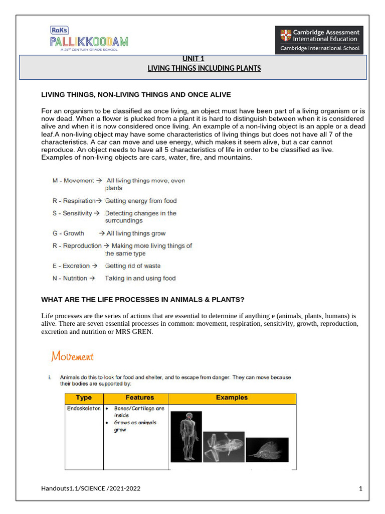 STG 4 Handout Science Unit1 | PDF | Root | Leaf