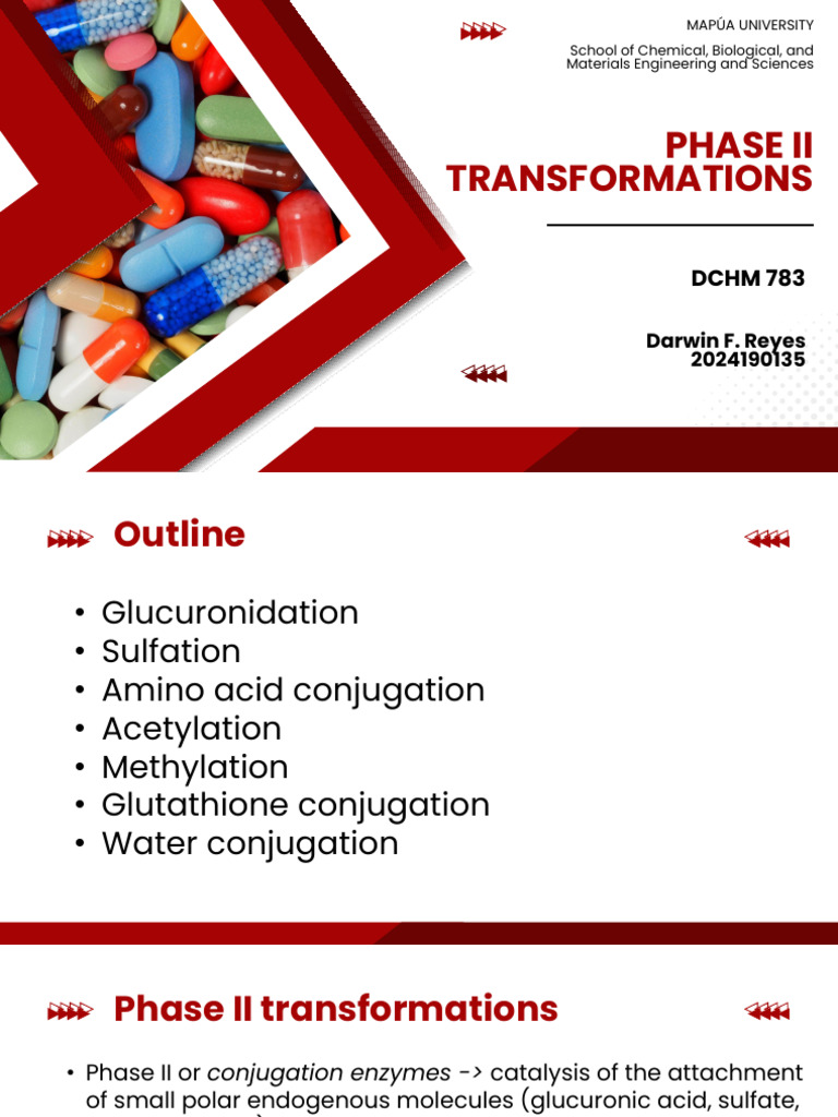 DCHM 783 - Report-DARWIN REYES-Phase II Transformations | PDF | Drug ...