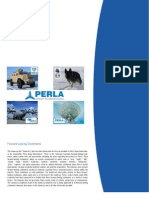 Perla Group International PERL.pk Private Placement Offering
