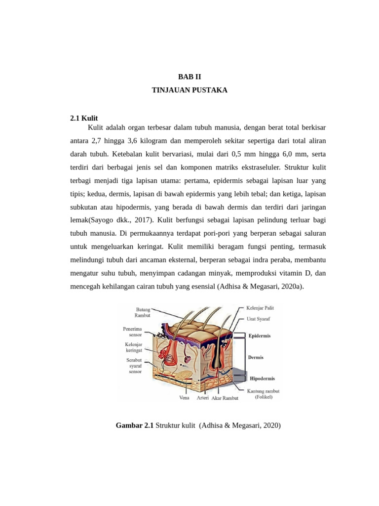 PROPOSAL AINUN Bab 2 | PDF