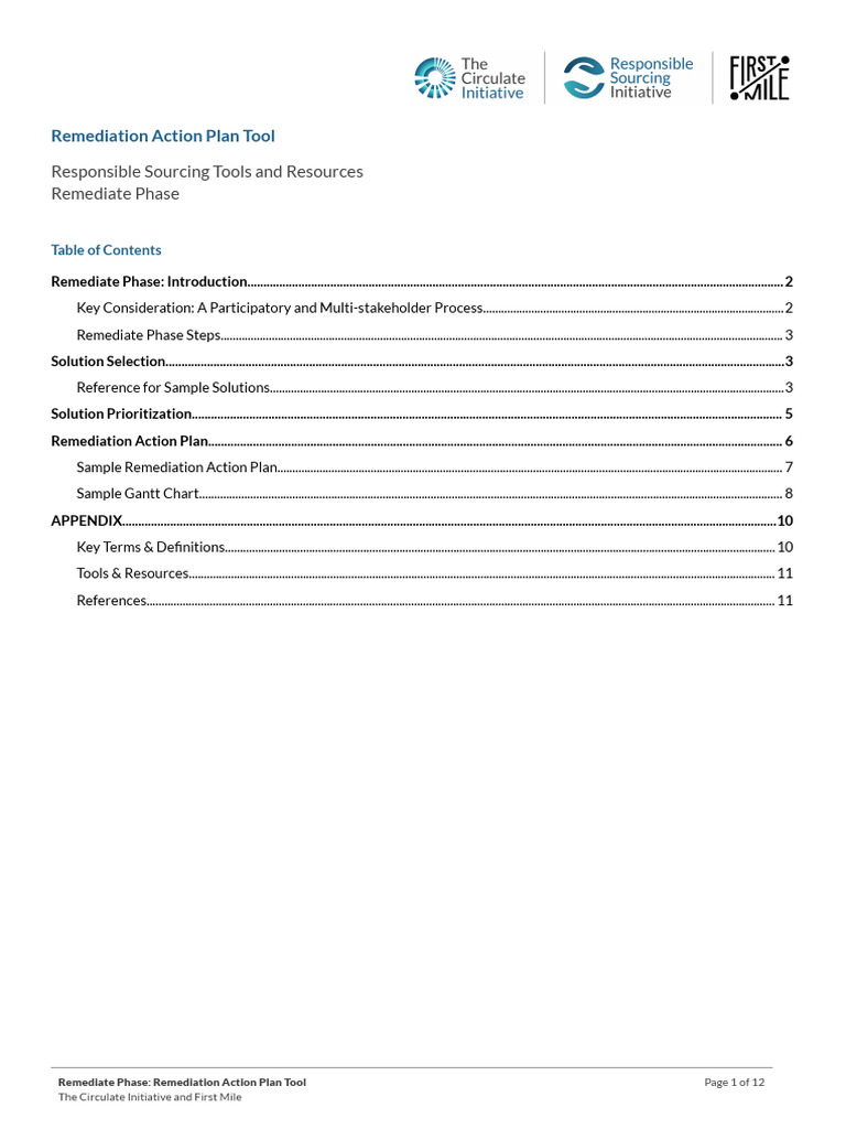 Remediate Phase 1. Remediation Action Plan Tool | PDF | Occupational ...