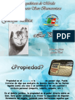 La Propiedad