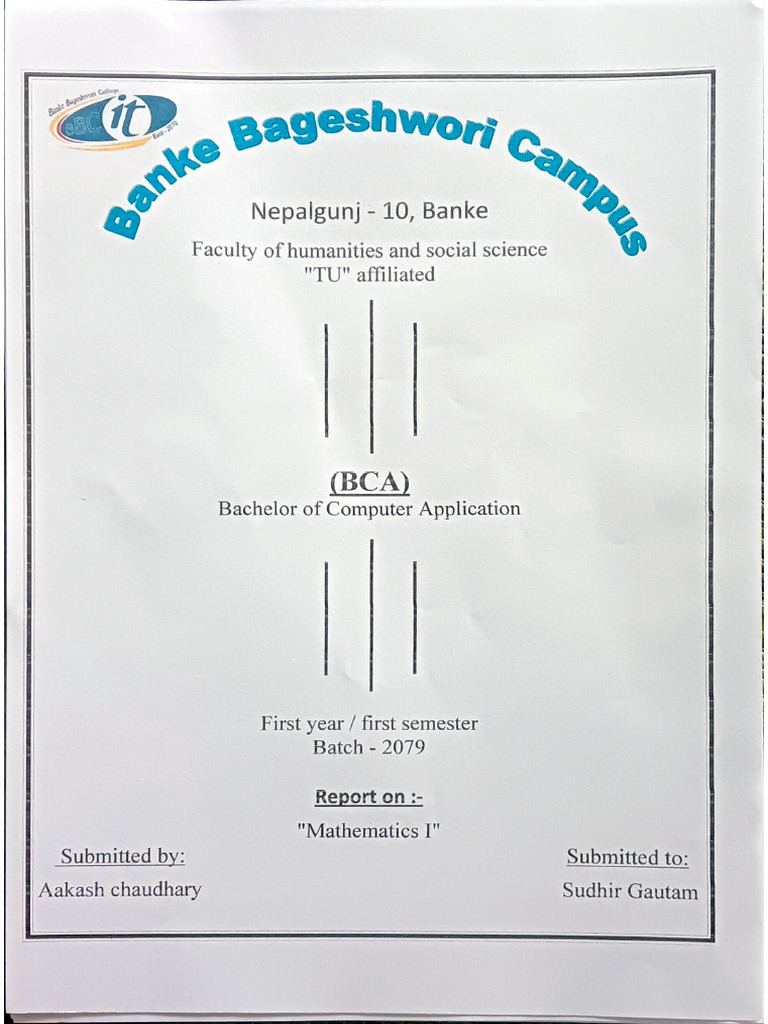 Report of Mathematics | PDF