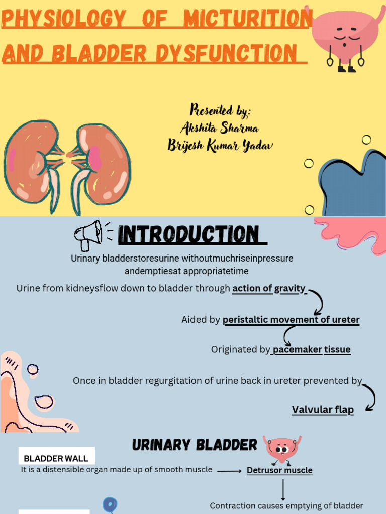 Physiology of Micturition and Blader Dysfunction 20260321 191606 0000 ...