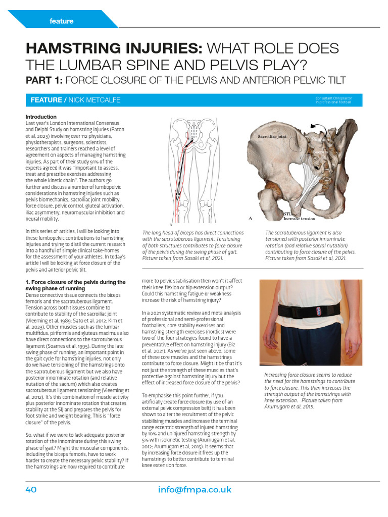 Hamstring Injuries Role of The Lumbar Spine | PDF | Pelvis ...