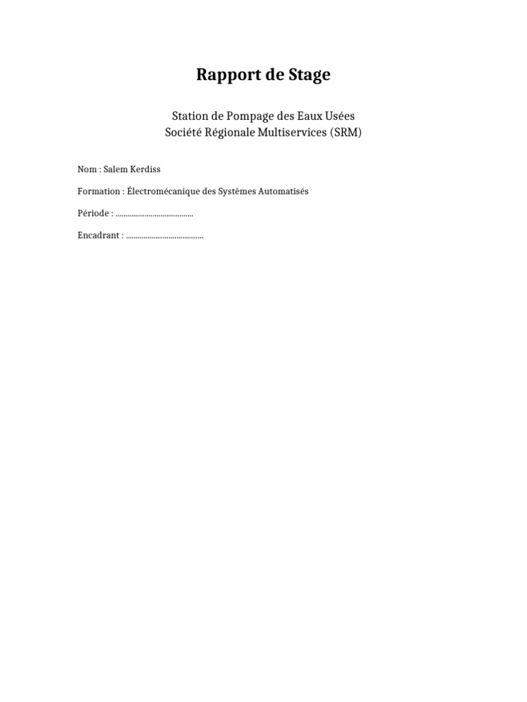 Rapport Stage SRM Salem Kerdiss | PDF